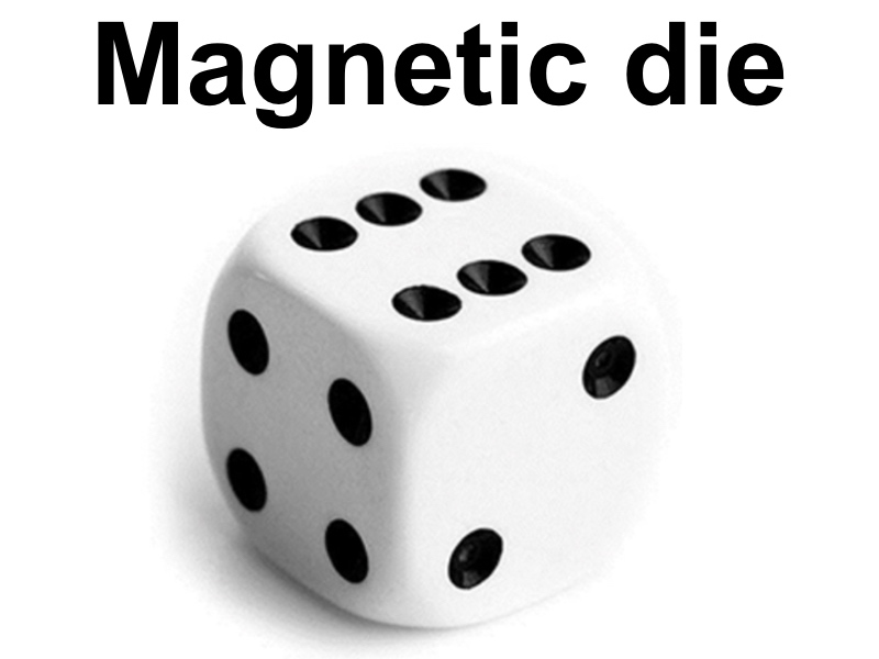 Magnetic die